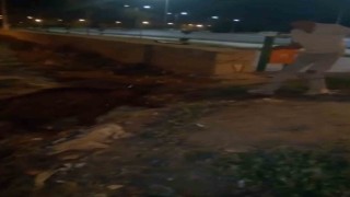 Iğdırda yürüyüş yapan gençler, kanaldaki yaban domuzlarını kurtardı