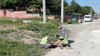 İnönü Belediyesinden aydınlatma direği yapım çalışmaları