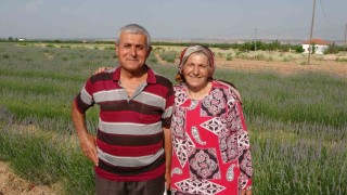 İnternetten gördüler, lavanta üreticisi oldular