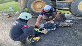 İş makinesi yemek molasındaki işçilerin arasına daldı