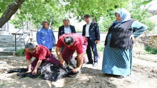 Isparta Belediyesi evlere giderek tek tek kurbanları kesti