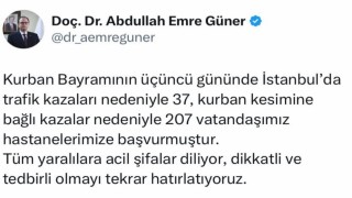 İstanbulda bayramın 3üncü gününde 244 kişi hastaneye başvurdu