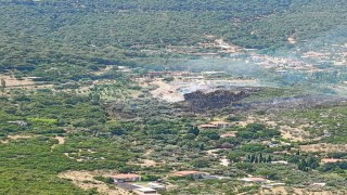 İzmir Kemalpaşada orman yangını