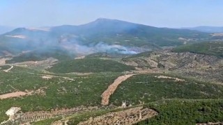 İzmir Torbalıda orman yangınına müdahale sürüyor