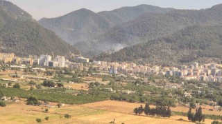İzmirde orman yangını: Müdahale sürüyor