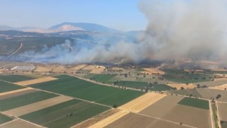 İzmirde orman yangınına havadan ve karadan müdahale