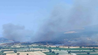 İzmirde ormanlık alanda çıkan yangın kontrol altında