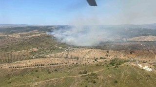 İzmirde ormanlık alanda yangına havadan ve karadan müdahale başladı