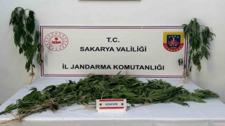 Jandarma uyuşturucuya geçit vermiyor: 3 tutuklama