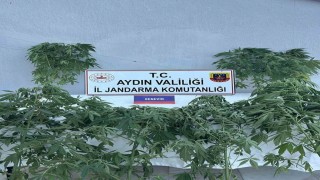 Jandarmada uyuşturucu operasyonu: 16 gözaltı
