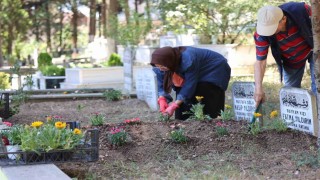 Kabirlere dikilmek amacıyla binlerce çiçek dağıtıldı