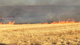 Kahramanmaraş Büyükşehir Belediyesi’nden Anız Yangınları Uyarısı