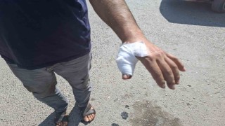 Kahramanmaraşta acemi kasaplar hastaneye koştu