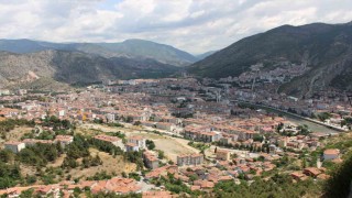 Kahverengi kokarca yayılıyor: Amasyada da tespit edildi