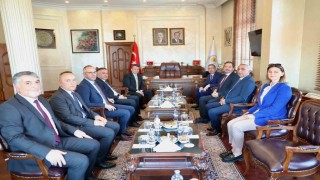 Kahverengi kokarcaya karşı 173 mahallede seferberlik