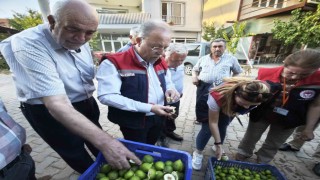 Karacasuda üreticiye kaliteli ilek uyarısı