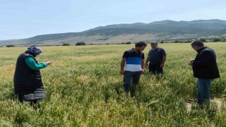 Karapınarda dolu ve sel felaketinde etkilenen bölgelerde incelemelerde bulunuldu