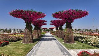 Karatay Mevlana Gül Parkı kapılarını açtı