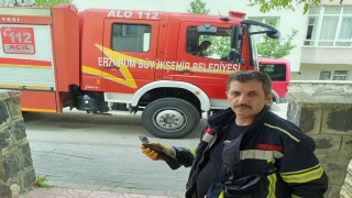 Karga yavrusuna uzanan şefkat eli