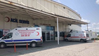 Karsta acemi kasaplar kendileri kesti