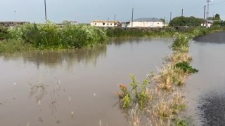 Karsta ahırlar ve ekili alanlar sular altında kaldı