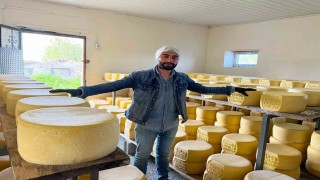 Karsta tonlarca süt, eski kaşar için işleniyor