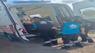 Karsta yaylada kayalıktan düşen çoban yaralandı