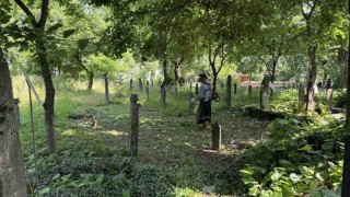 Kartepede mezarlık temizliği