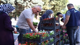 Kartepede mezarlıklarda çiçek dağıtımı yapıldı