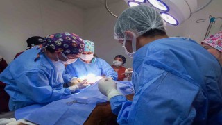 Kastamonu Üniversitesinde 5 ayda 334 hayvan tedavi edildi