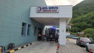 Kastamonuda akrebin soktuğu kadın hastanelik oldu