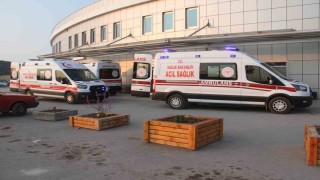 Kayıp kurbanlığı ararken canından oldu