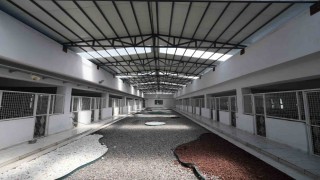 Kayseride 500 hayvan kapasiteli yeni bir barınak inşa ediliyor