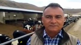 Kayseride günlük 500 ton süt üretiliyor