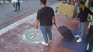 Kediye Heimlich manevrası yaparak hayatını kurtardı... O anlar kamerada