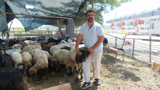 Kemer Belediyesinde kurban satış alanlarında denetim