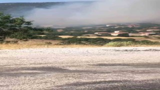 Kepsutta orman yangını başladı