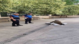Kimsesiz vatandaşa yardım eli