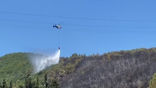 Kocaelide ağaçlık alanda çıkan yangın kontrol altına alındı