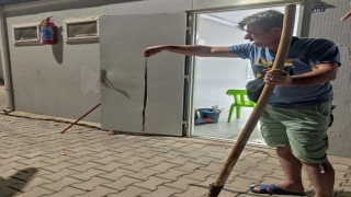 Konteynere giren yılan paniğe neden oldu