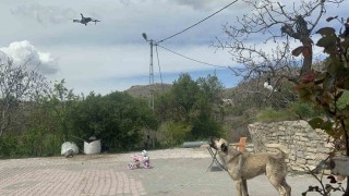 Köpeğin dron ile imtihanı gülümsetti