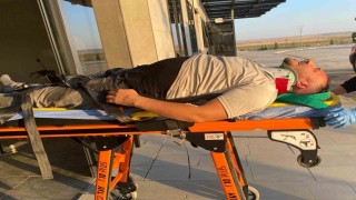 Koyun sürüsüne çarpan otomobilin sürücüsü yaralandı