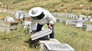 Kuraklık Bitlisli arıcıları kara kara düşündürüyor