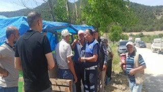 Kurban Bayramı öncesi hayvan pazarı denetimleri sürüyor