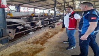 Kurbanların satış ve kesim yerleri mercek altında