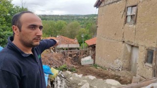 Kütahyada kurtların saldırısında 11 koyun telef oldu