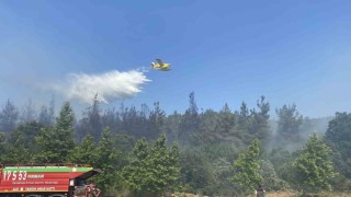 Lapsekideki orman yangınına havadan ve karadan müdahale ediliyor