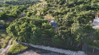 Malatyada 800 yıllık Menengiç ağacı zamana direniyor