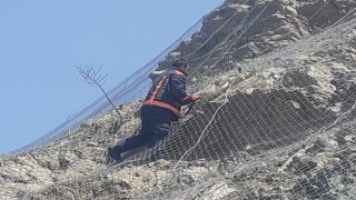 Malatyada ağa takılan 2 yaban keçisi kurtarıldı