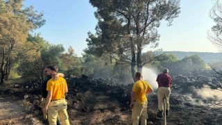 Mangal yakarak orman yangınına neden olan şahıs tutuklandı